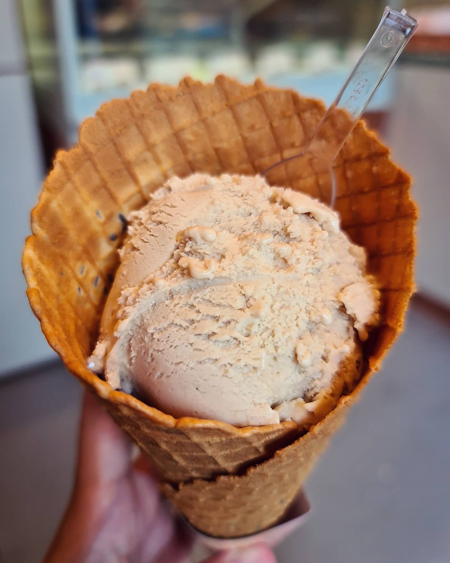 Piemonte Roasted Hazelnut & Chocolate Nibs in a jumbo lavender cone ($7.40)!