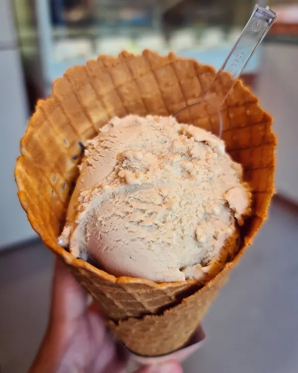 Piemonte Roasted Hazelnut & Chocolate Nibs in a jumbo lavender cone ($7.40)!