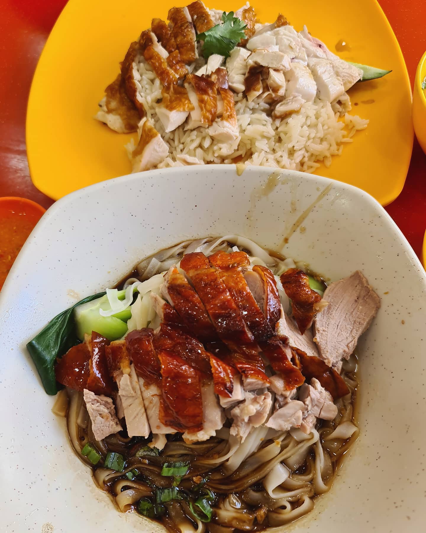 Roast duck hor fun & Roast chicken rice ($11)!