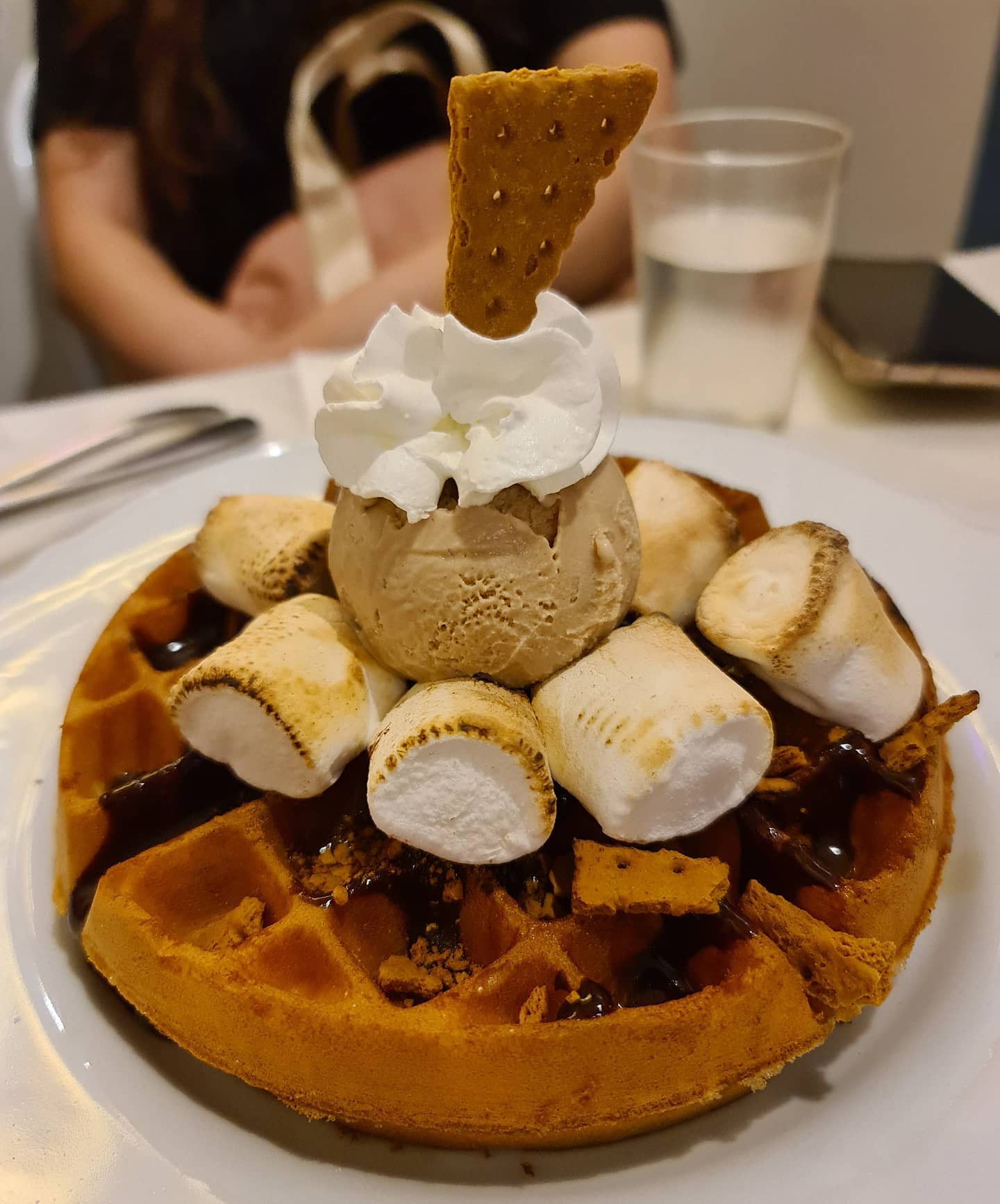 S'mores waffle!