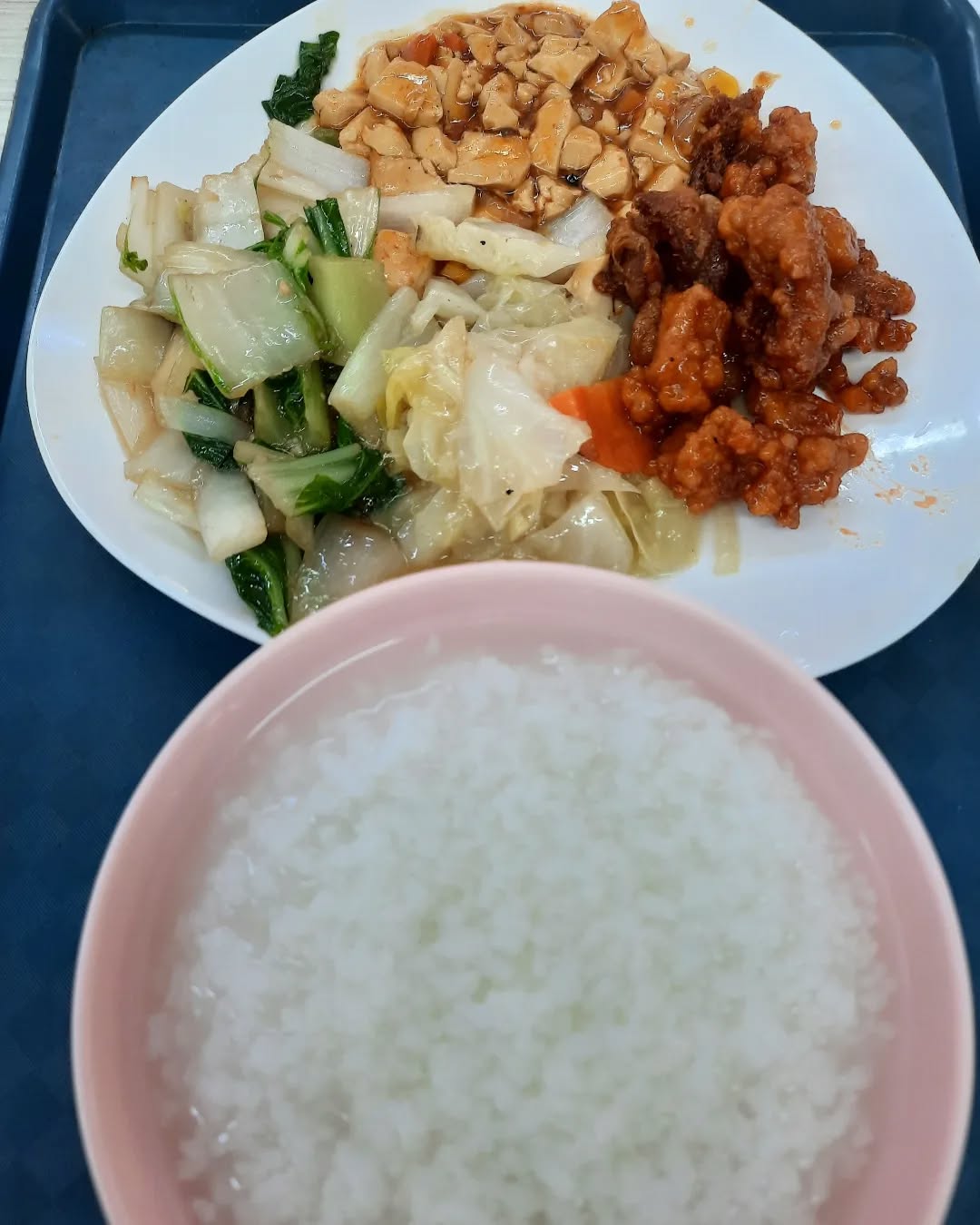 Mixed veg porridge ($4.10)!