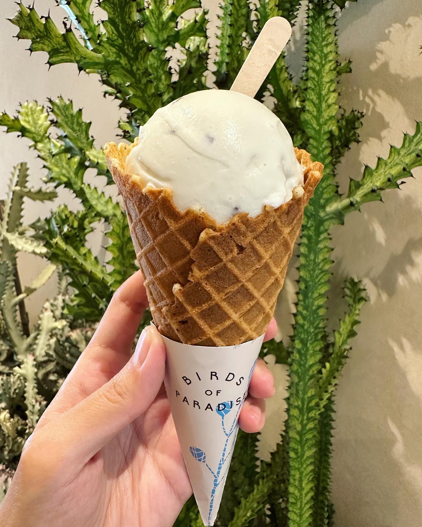 Birds of Paradise — white chrysanthemum + thyme cone ($6.80)!