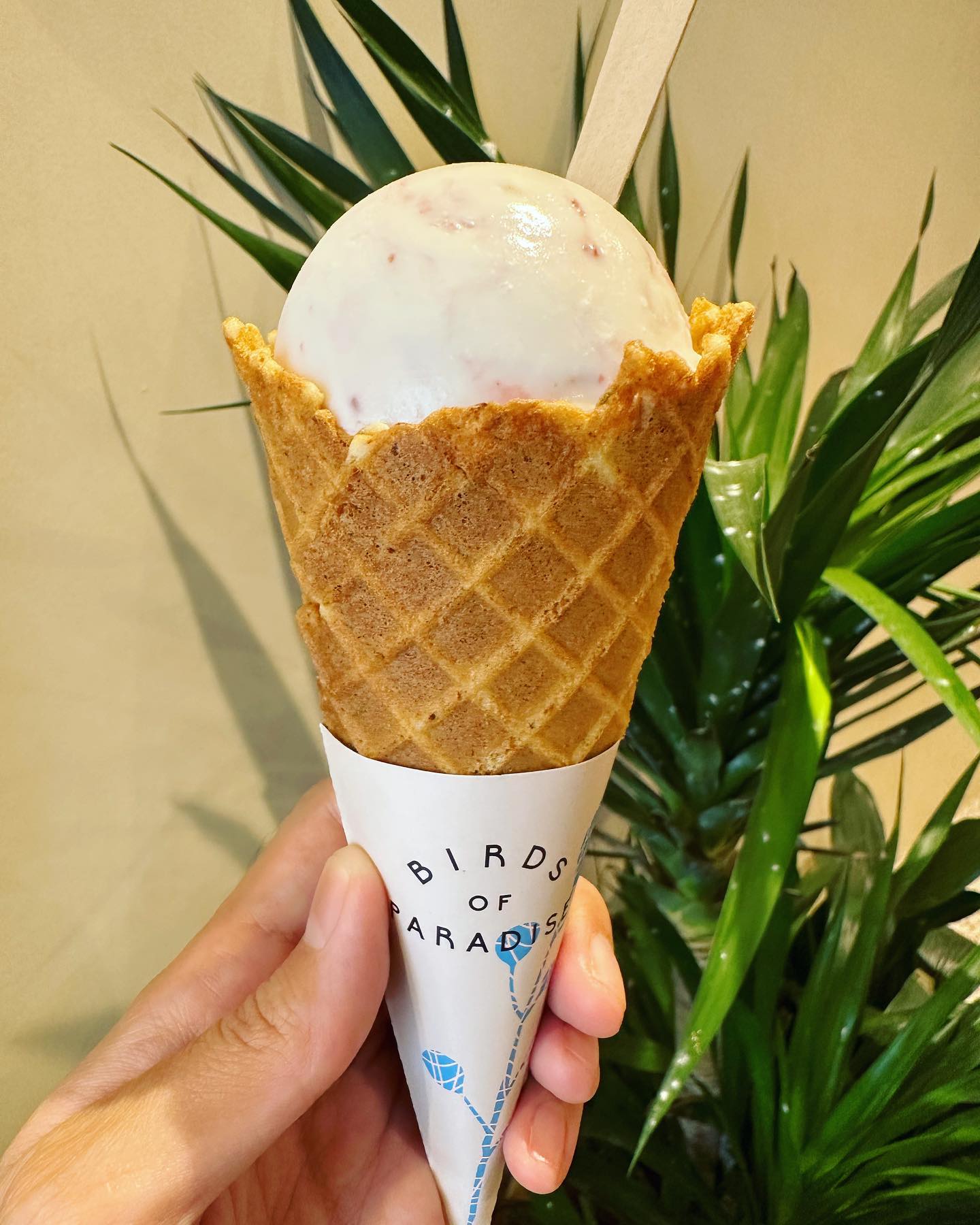 Birds of Paradise — lychee raspberry + thyme cone ($6.80)!