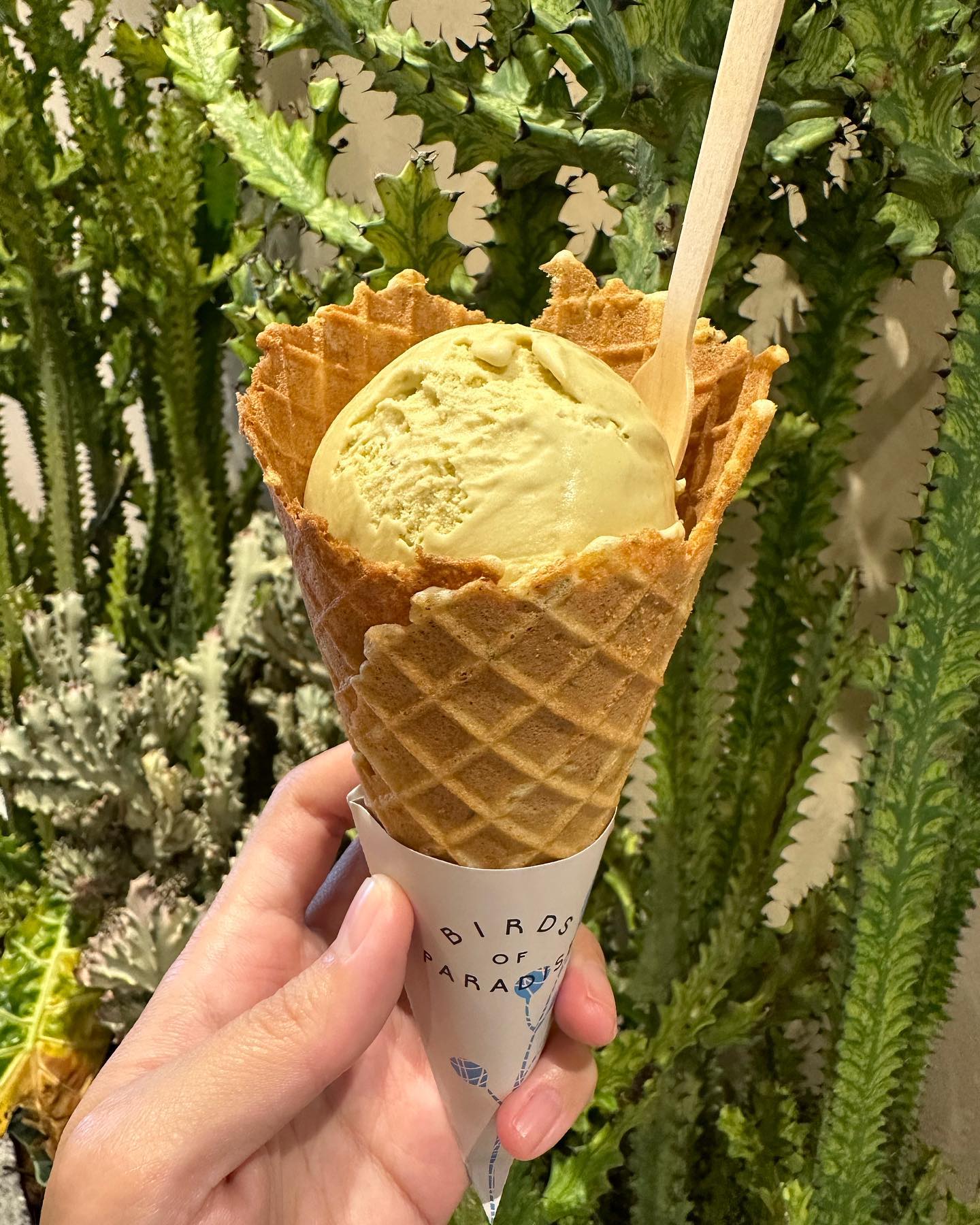 Birds of Paradise — pistachio + thyme cone ($7.80)!