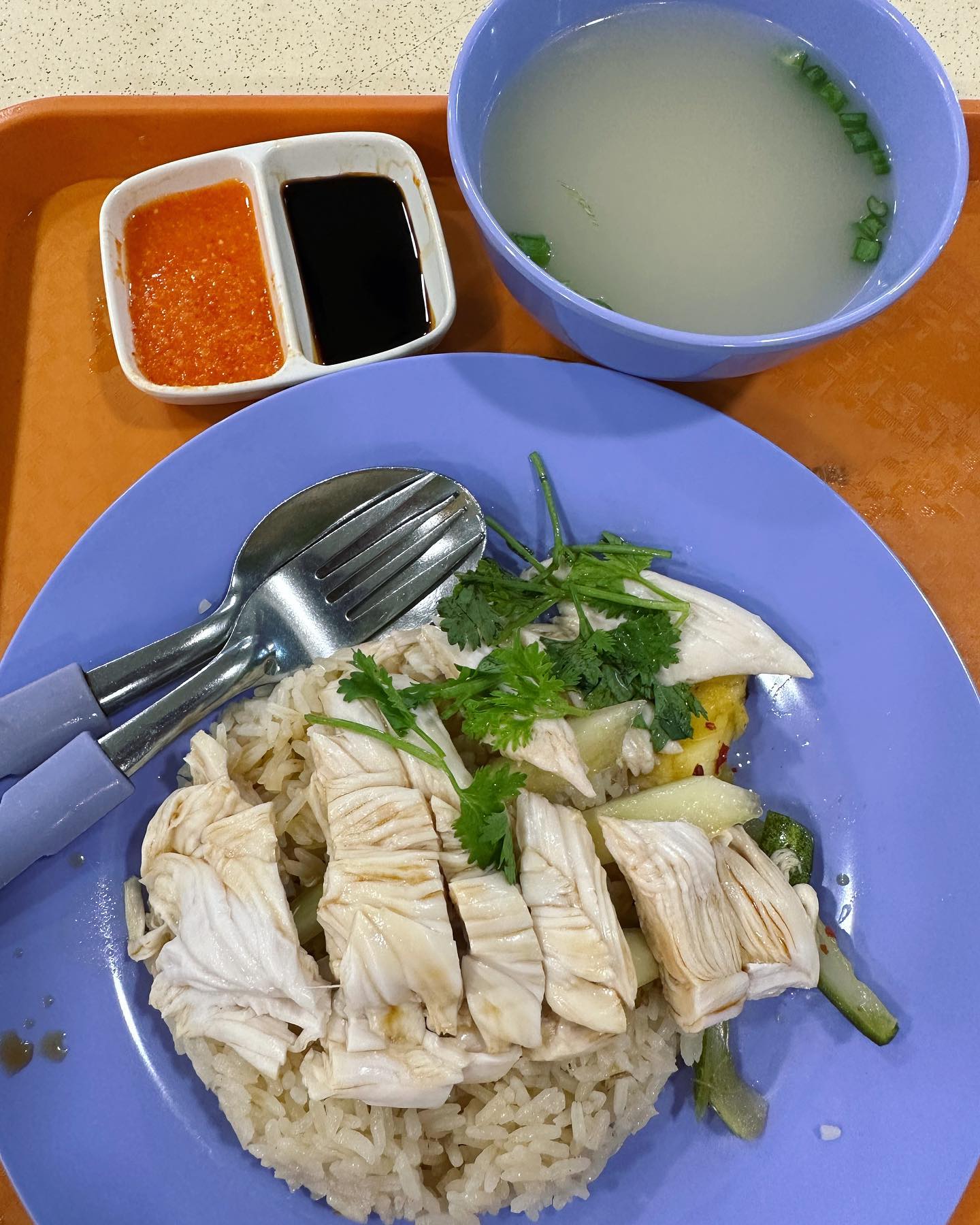 Steamed white chicken rice ($4.50)!